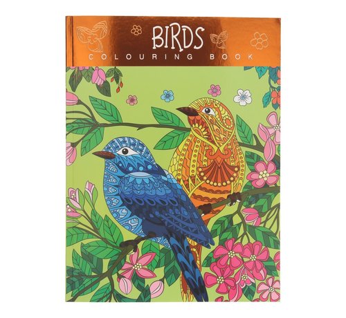 Wins-Holland B.V. Kleurboek Birds