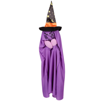 Halloweendecoratie met licht "Heks"