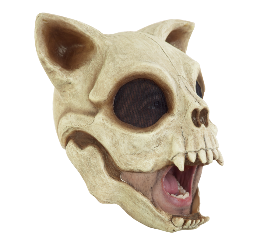 Masker Cat Skull voor volwassenen