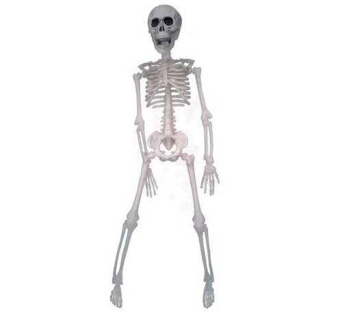 Haza Original skelet van plastic 40 cm
