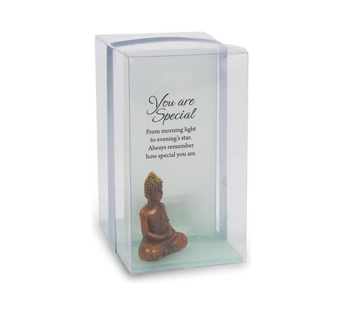 Miko Gelukskaarsje "You are special"