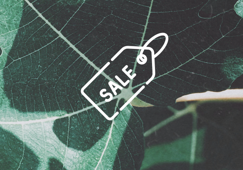 Hot Summer Sale 