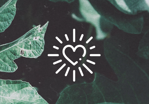 Iloveyoga Ambassadeurs 