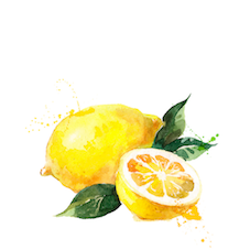 lemon lemon