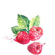 raspberry