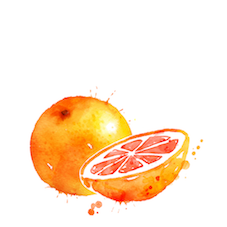 grapefruit grapefruit