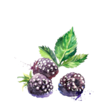 blackberry blackberry