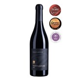 Kozlović Santa Lucia Noir Kozlović Santa Lucia Noir