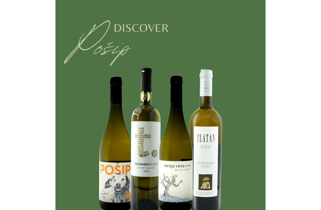 Pošip Tasting Package Start