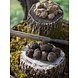 Prodan Tartufi Fresh black winter truffle Prodan Tartufi Fresh black winter truffle