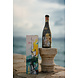 Coral wine Amarone Coral wine Amarone