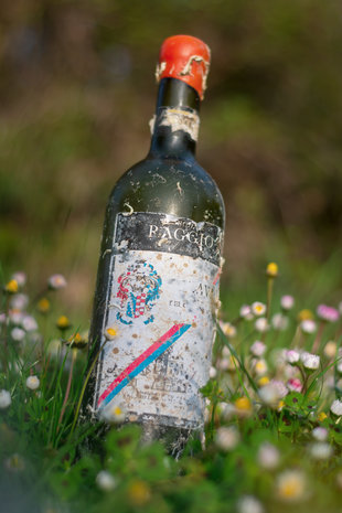 Coral wine Gavi di Gavi Coral wine Gavi di Gavi