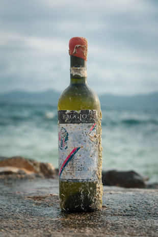 Coral wine Gavi di Gavi Coral wine Gavi di Gavi