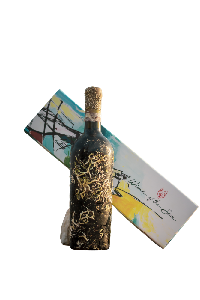 Coral wine Aglianico Apollo Coral wine Aglianico Apollo