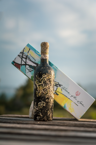Coral wine Aglianico Apollo Coral wine Aglianico Apollo