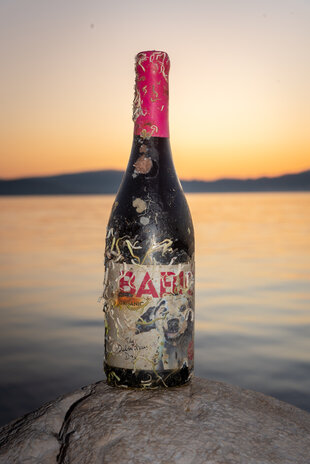 Coral wine Dalmatian Dog Babić Coral wine Dalmatian Dog Babić