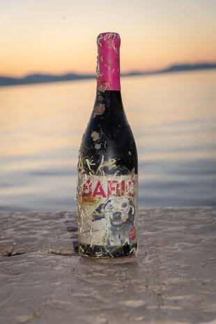 Coral wine Dalmatian Dog Babić Coral wine Dalmatian Dog Babić