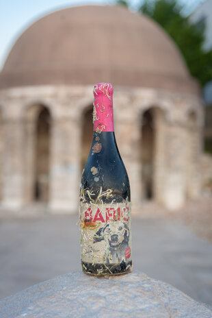 Coral wine Dalmatian Dog Babić Coral wine Dalmatian Dog Babić