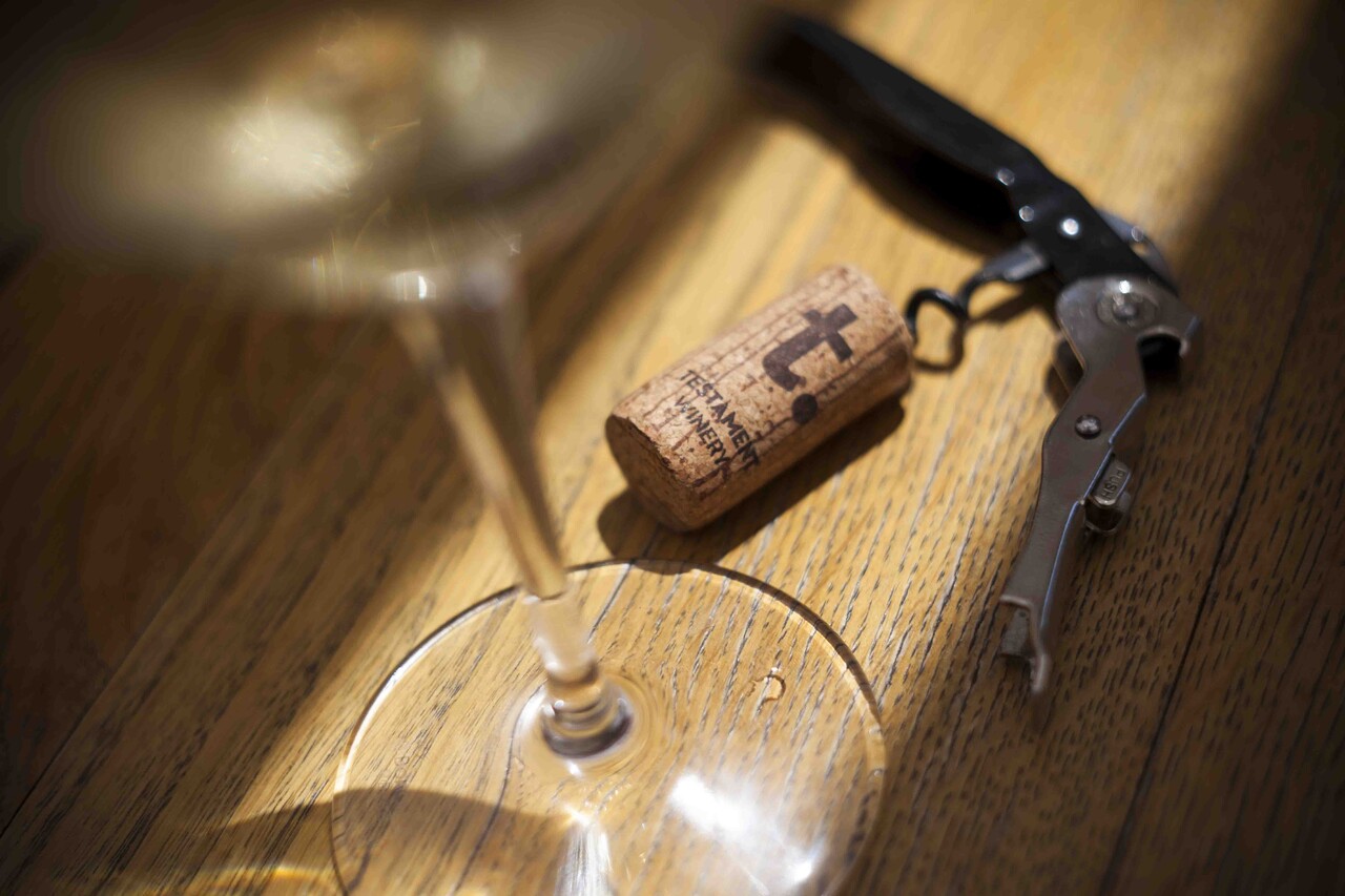 Testament The Dalmatian Dog Plavac Mali Testament The Dalmatian Dog Plavac Mali