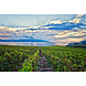 Terra Madre Plavac Mali Terra Madre Plavac Mali