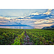 Terra Madre Plavac Mali Barrique Terra Madre Plavac Mali Barrique
