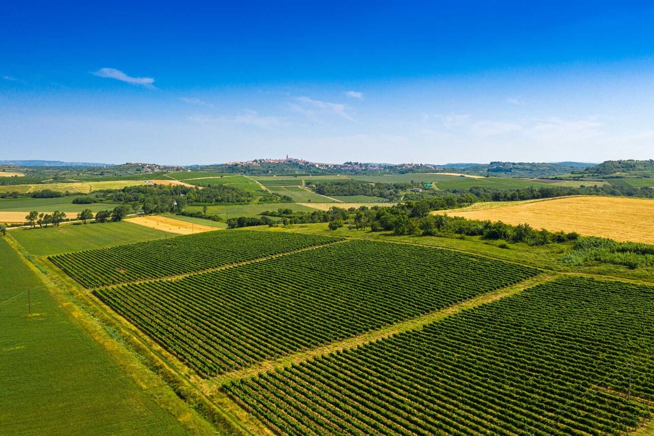 Veralda Sparkling Brut Nature