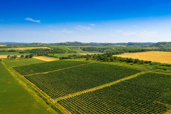 Veralda Sparkling Brut Nature