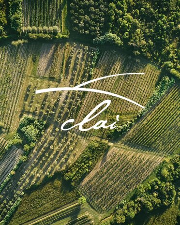 Clai OTTOCENTO Pinot Grigio