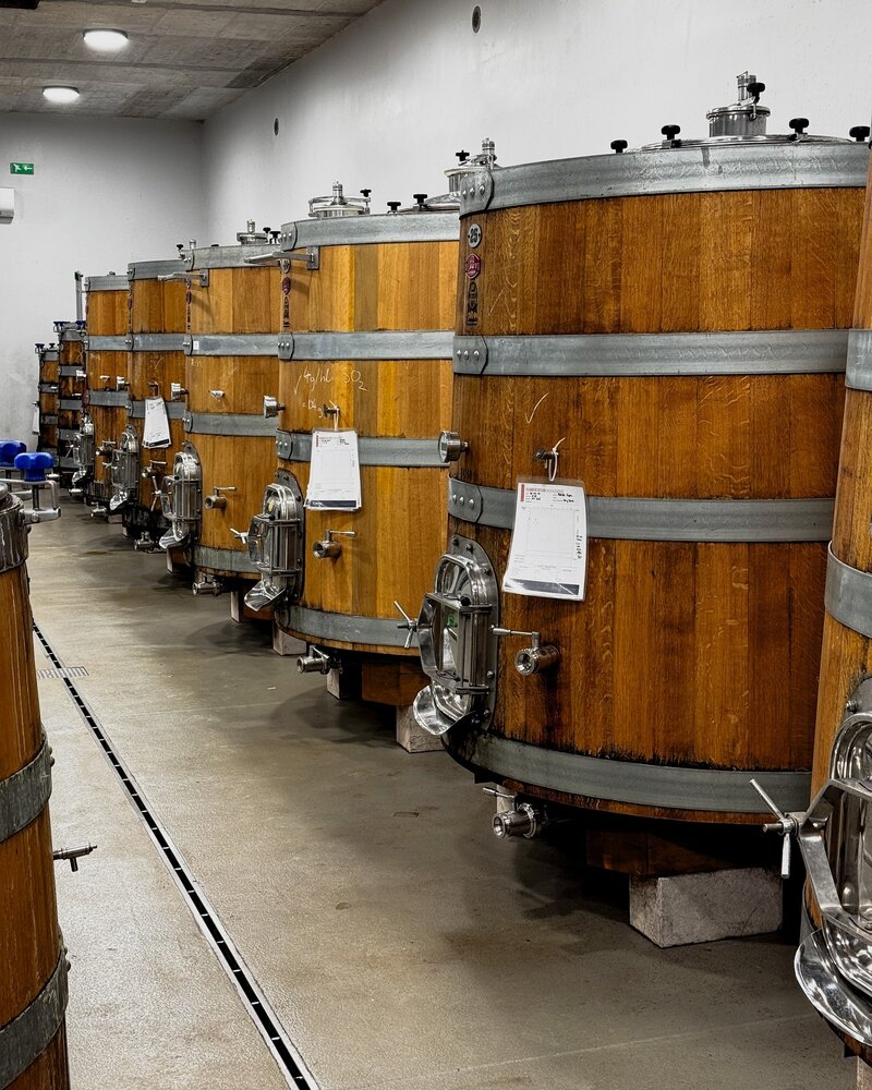 Clai OTTOCENTO Pinot Grigio