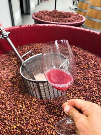 Clai OTTOCENTO Pinot Grigio