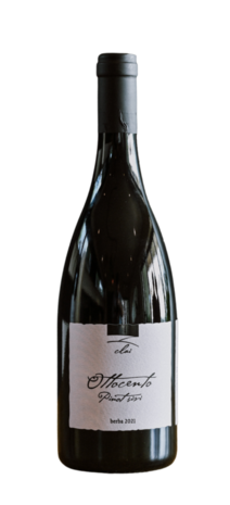 Clai OTTOCENTO Pinot Grigio