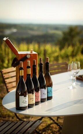 Roxanich & Clai: Masterclass Low‑Intervention Istrian wines + paired bites Roxanich & Clai: Masterclass Low‑Intervention Istrian wines + paired bites