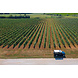 Roxanich Les Bulles Blanc Sparkling Roxanich Les Bulles Blanc Sparkling