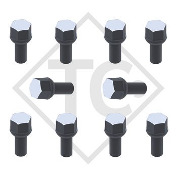 Original ball-head wheel bolt M12x1.5, set of 10 pieces