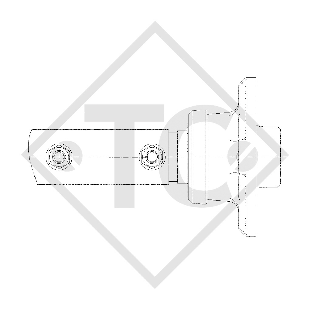 Assale rigido sfrenato 750kg PLUS tipo di assale LS 750