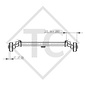 Assale frenato 750kg, tandem 1300kg, EURO1 tipo di assale 2xB 850-2