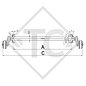 Assale frenato 1000kg Euro-Compact tipo di assale B 850-10