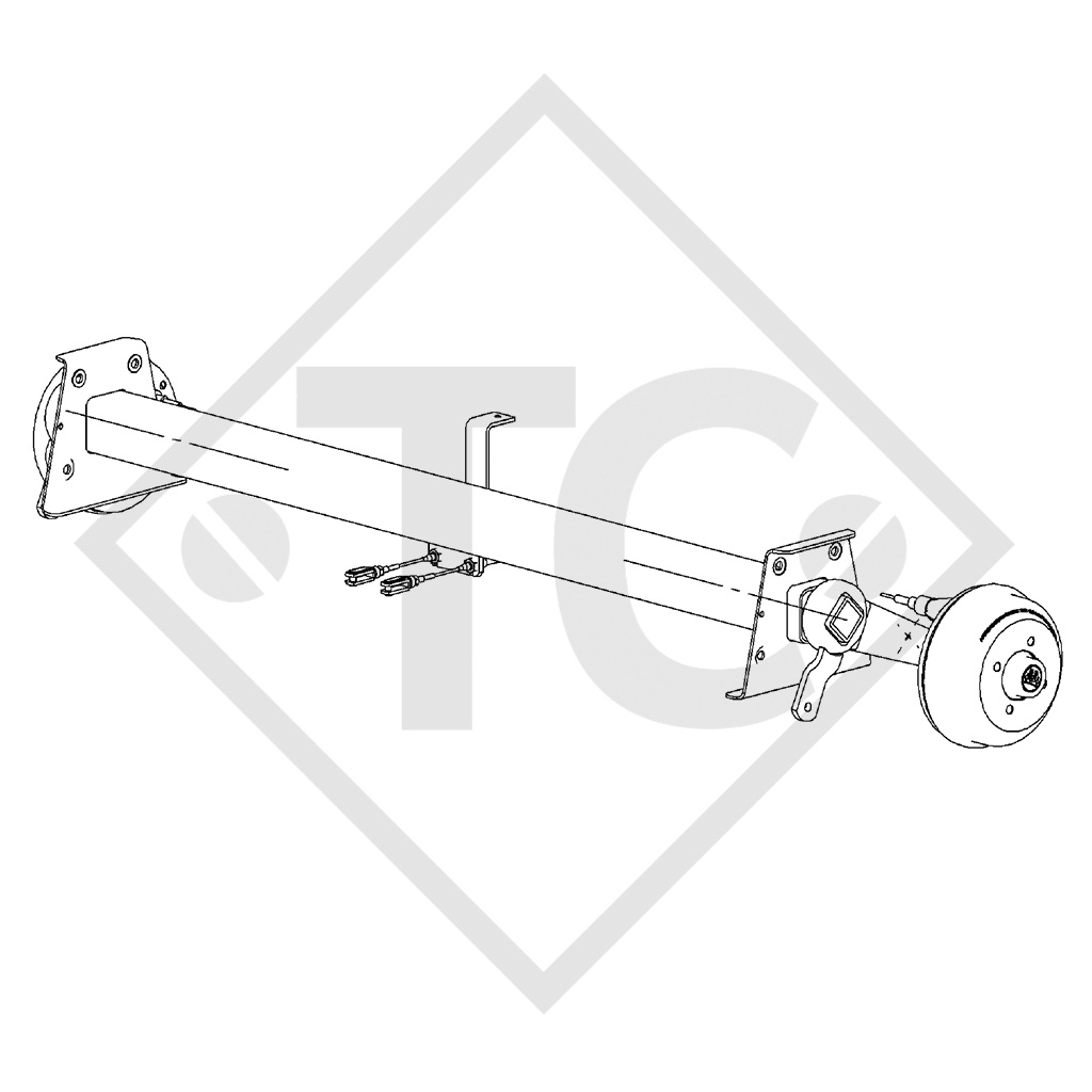 Braked axle 1050kg SWING axle type CB 1054, 46.21.379.889