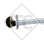 Braked axle 1700kg EURO Plus axle type DELTA SIN 14-3 Adria 663 UK Classica