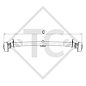 Braked axle 1700kg EURO Plus axle type DELTA SIN 14-3 with AAA (automatic adjustment of the brake pads)