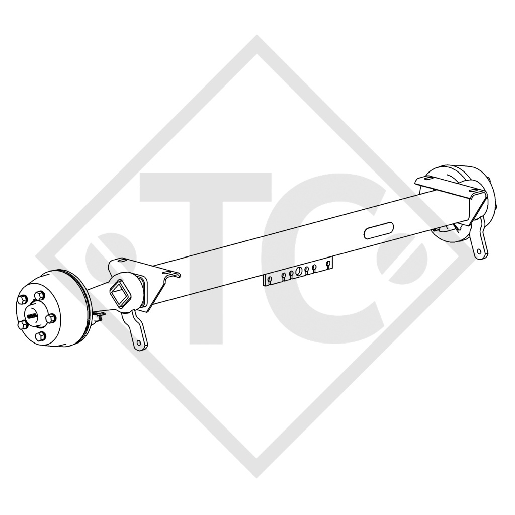 Braked axle 1000kg SWING axle type CB 1005, 46.20.382.024