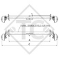 Assale frenato 1000kg EURO Compact tipo di assale B 1000-3