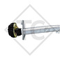 Braked axle 900kg EURO Plus axle type DELTA SI 850-5, FRANKIA 420