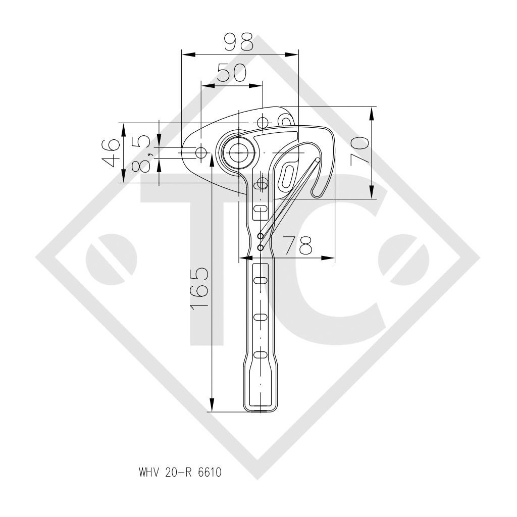 WINTERHOFF Chiusura a leva ad angolo tipo WV 20-R