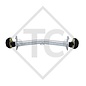 Braked axle 1600kg EURO PLUS axle type DELTA SI-N 14-2 - Dethleffs camper