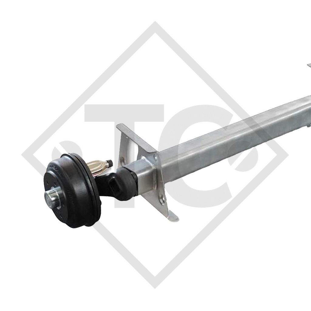 Braked axle 1050kg SWING axle type CB 1054, 46.21.379.001