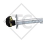 Braked axle 1300kg EURO Plus axle type DELTA SI-N 12, KNAUS 500 SPORT with AAA (automatic adjustment of the brake pads)