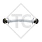 Braked axle 1100kg EURO Plus axle type DELTA SI-N 10-1, BUERSTNER CARAVAN