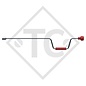 Extending crank