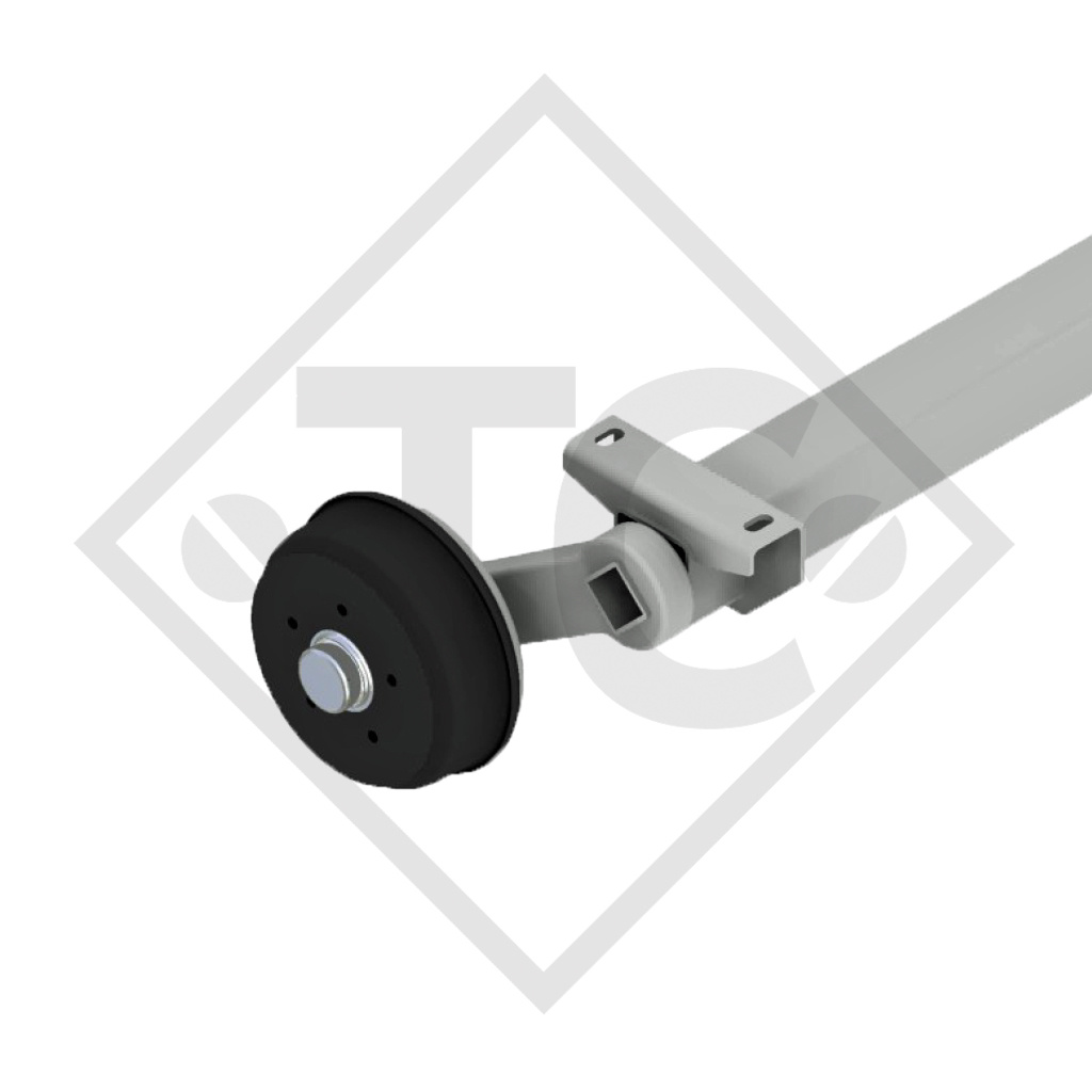 Essieu 1500kg freiné type d'essieu SB15, WM1500 / 2260411, WM MEYER